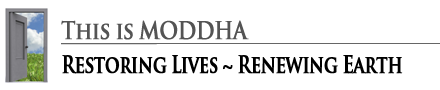 Page title: Welcome, this is MODDHA